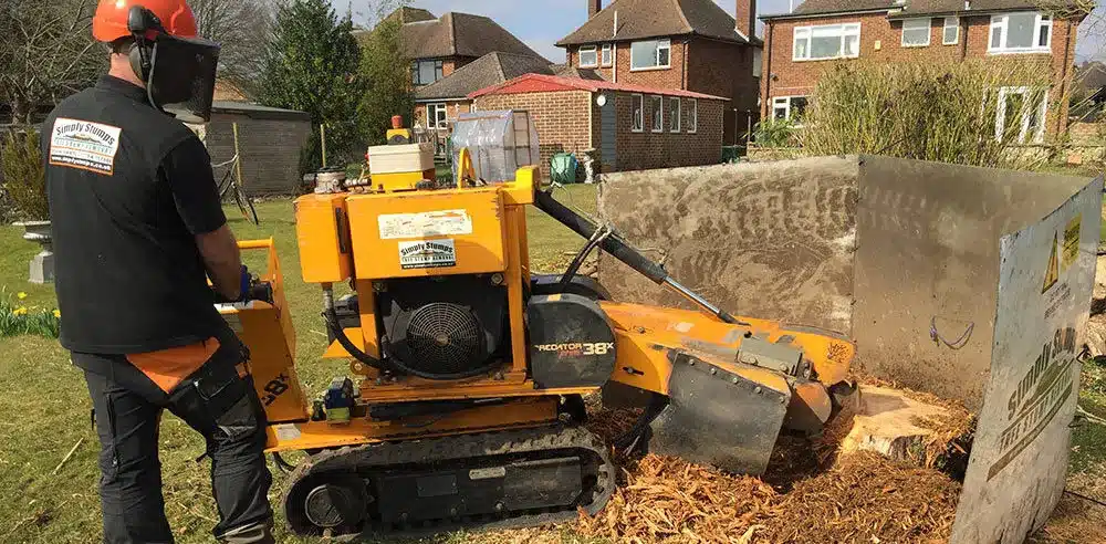 tree stump services at your door step